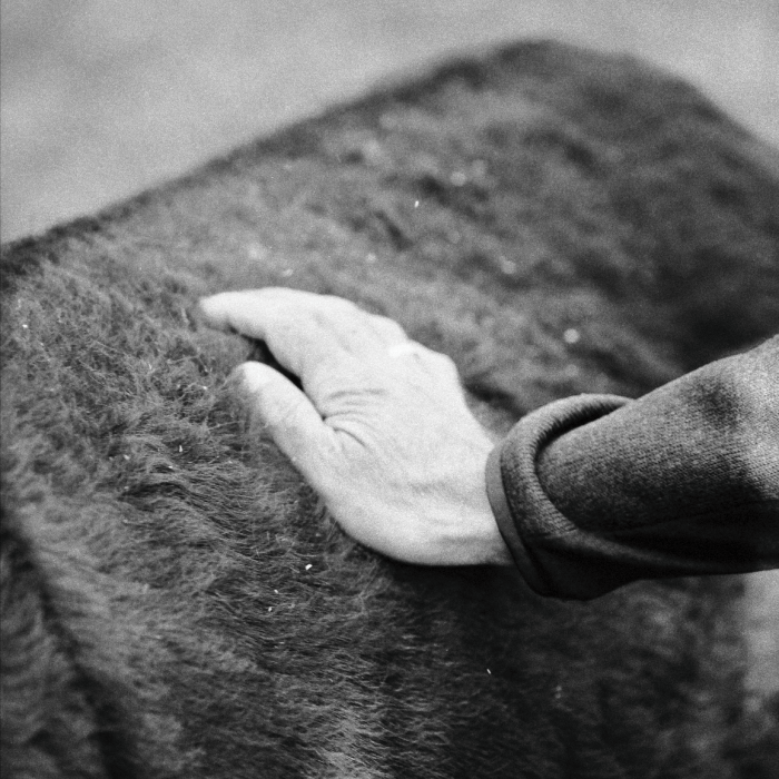 "Balthazar" by Clemens Braun